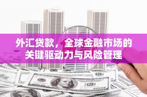 韶关外汇贷款，全球金融市场的关键驱动力与风险管理