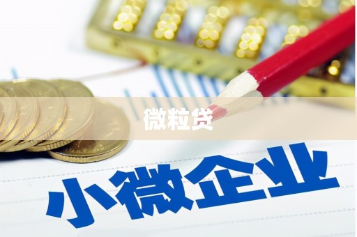 韶关微粒贷