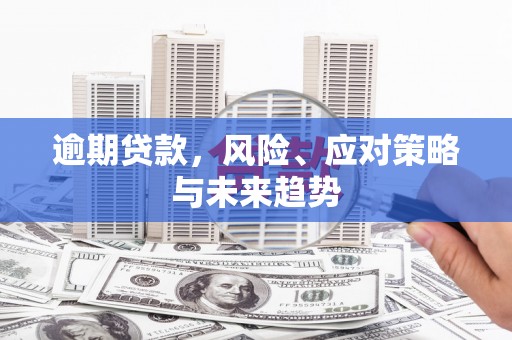 韶关逾期贷款，风险、应对策略与未来趋势