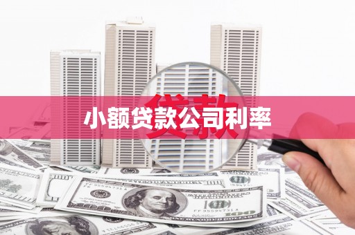 韶关小额贷款公司利率
