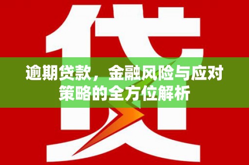 韶关逾期贷款，金融风险与应对策略的全方位解析