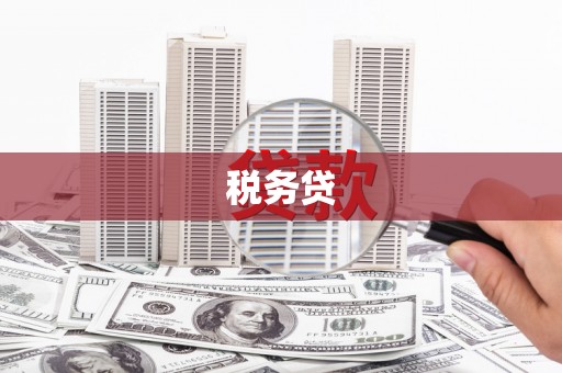 韶关税务贷