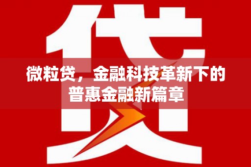 韶关微粒贷，金融科技革新下的普惠金融新篇章