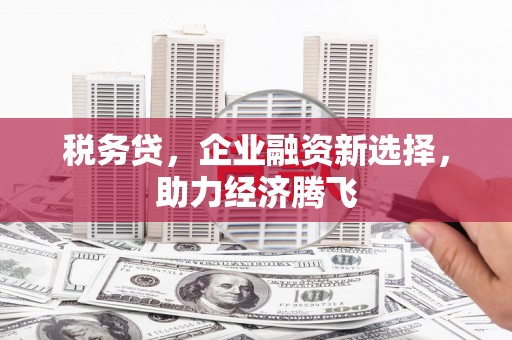 韶关税务贷，企业融资新选择，助力经济腾飞