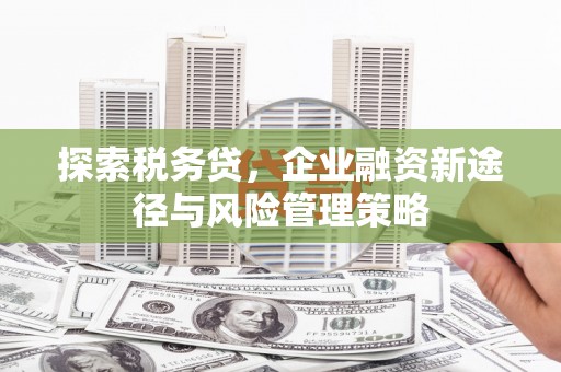 韶关探索税务贷，企业融资新途径与风险管理策略