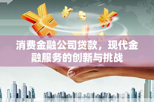 韶关消费金融公司贷款，现代金融服务的创新与挑战