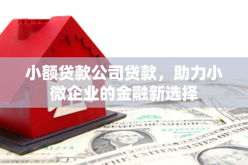 韶关小额贷款公司贷款，助力小微企业的金融新选择
