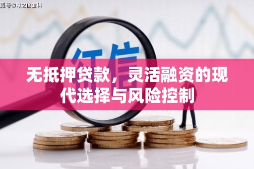 韶关无抵押贷款，灵活融资的现代选择与风险控制