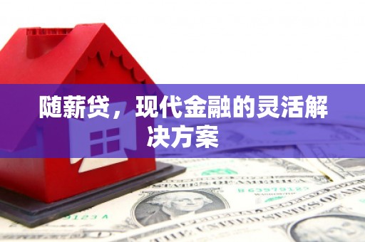 韶关随薪贷，现代金融的灵活解决方案