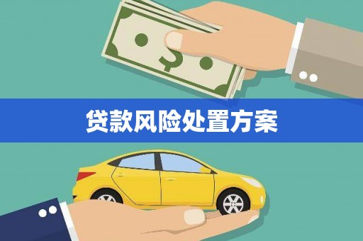 韶关贷款风险处置方案
