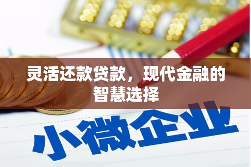 韶关灵活还款贷款，现代金融的智慧选择