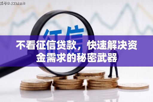 韶关不看征信贷款，快速解决资金需求的秘密武器