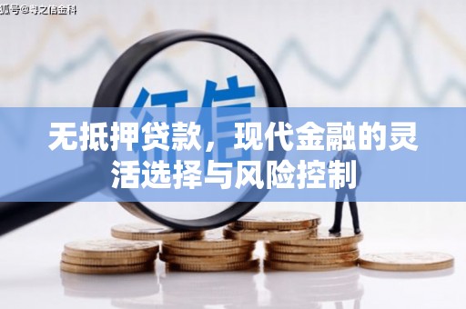 韶关无抵押贷款，现代金融的灵活选择与风险控制