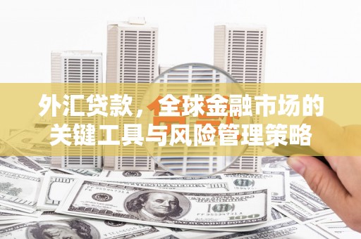 韶关外汇贷款，全球金融市场的关键工具与风险管理策略