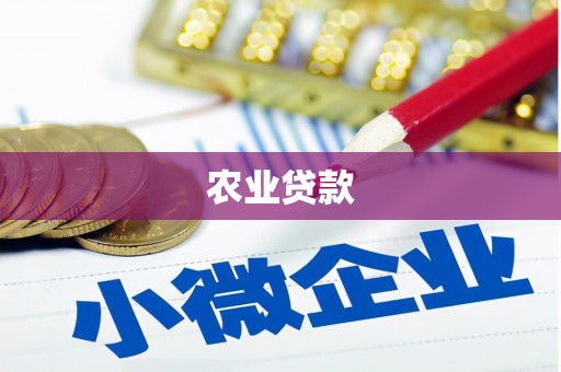 韶关农业贷款