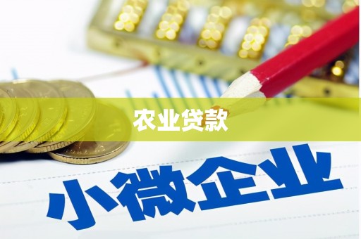 韶关农业贷款