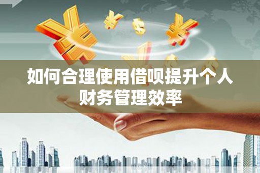 韶关如何合理使用借呗提升个人财务管理效率