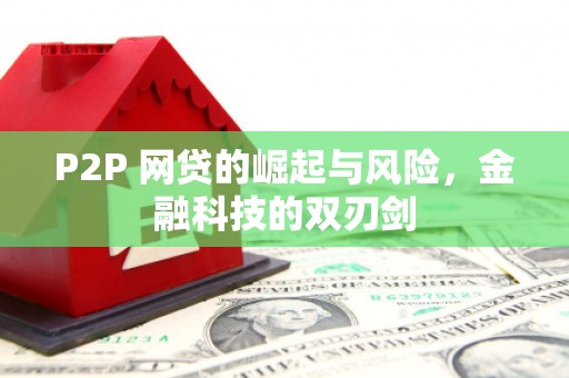 韶关P2P 网贷的崛起与风险，金融科技的双刃剑