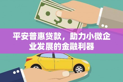 韶关平安普惠贷款，助力小微企业发展的金融利器