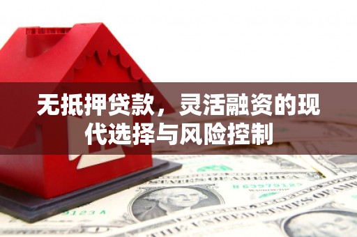 韶关无抵押贷款，灵活融资的现代选择与风险控制
