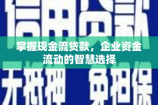 韶关掌握现金流贷款，企业资金流动的智慧选择