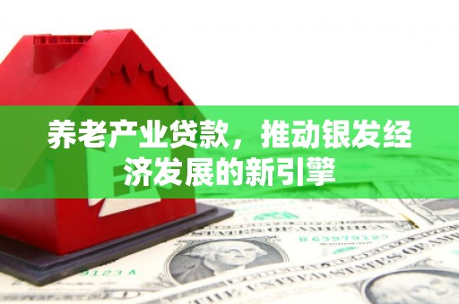 韶关养老产业贷款，推动银发经济发展的新引擎