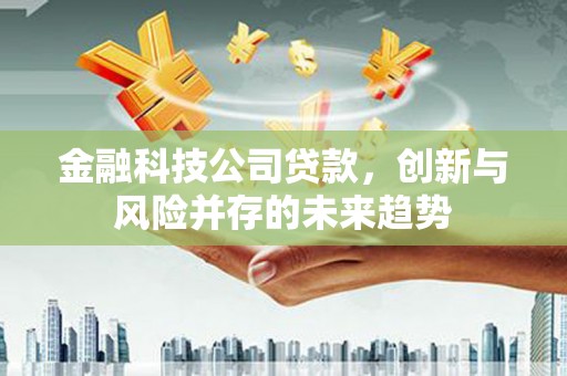 韶关金融科技公司贷款，创新与风险并存的未来趋势