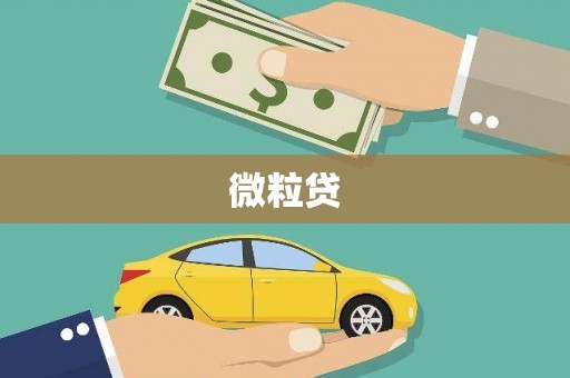 韶关微粒贷