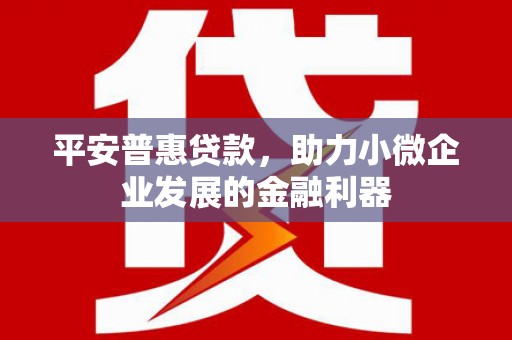 韶关平安普惠贷款，助力小微企业发展的金融利器