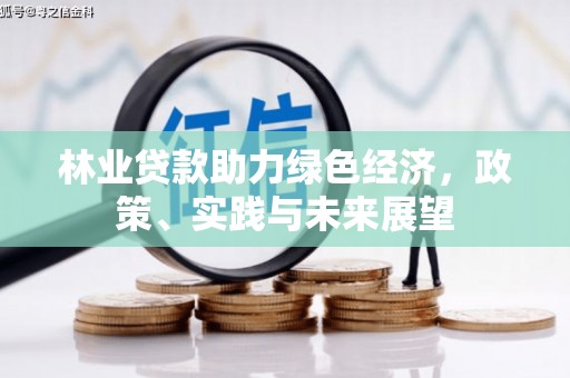 韶关林业贷款助力绿色经济，政策、实践与未来展望