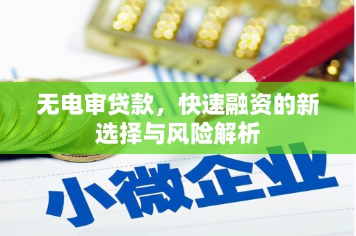 韶关无电审贷款，快速融资的新选择与风险解析