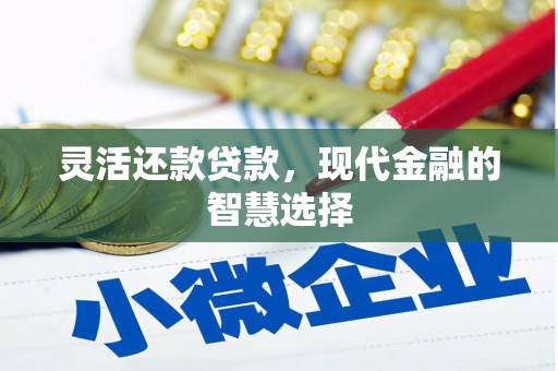 韶关灵活还款贷款，现代金融的智慧选择