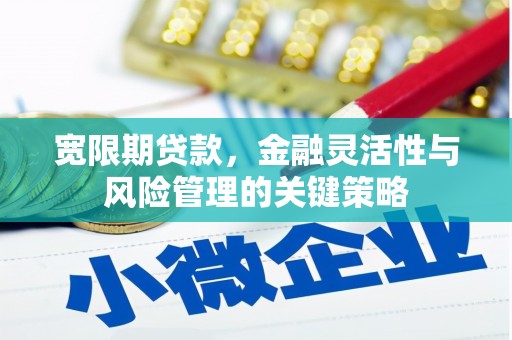 韶关宽限期贷款，金融灵活性与风险管理的关键策略