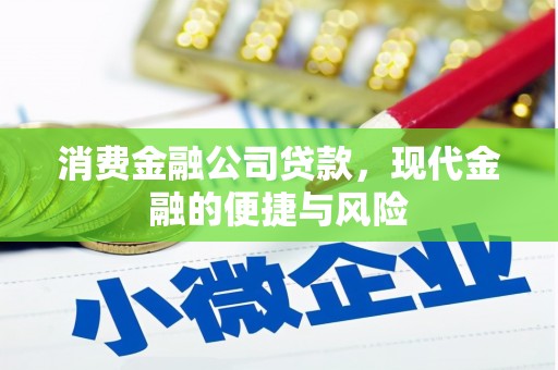 韶关消费金融公司贷款，现代金融的便捷与风险