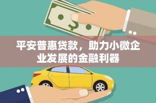 韶关平安普惠贷款，助力小微企业发展的金融利器
