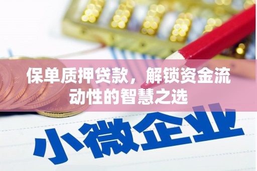韶关保单质押贷款，解锁资金流动性的智慧之选