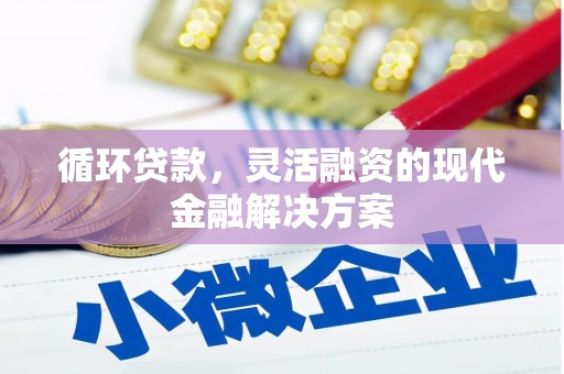韶关循环贷款，灵活融资的现代金融解决方案