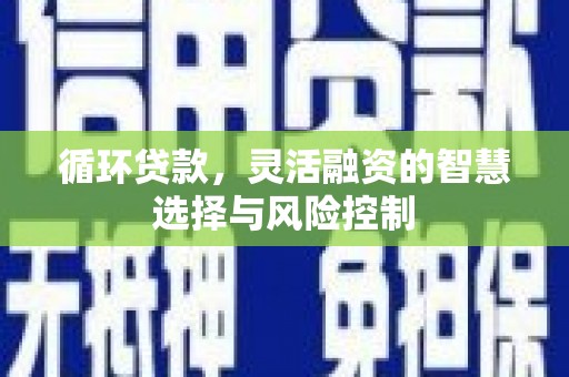 韶关循环贷款，灵活融资的智慧选择与风险控制