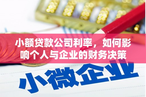 韶关小额贷款公司利率，如何影响个人与企业的财务决策