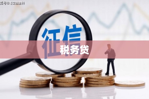 韶关税务贷