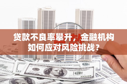 韶关贷款不良率攀升，金融机构如何应对风险挑战？