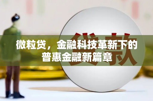 韶关微粒贷，金融科技革新下的普惠金融新篇章