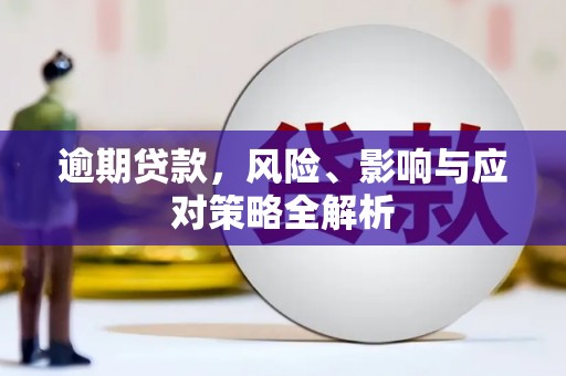 韶关逾期贷款，风险、影响与应对策略全解析