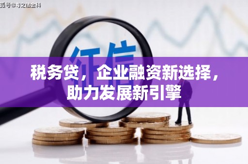 韶关税务贷，企业融资新选择，助力发展新引擎