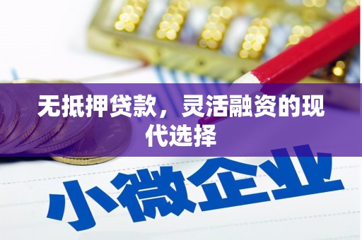 韶关无抵押贷款，灵活融资的现代选择