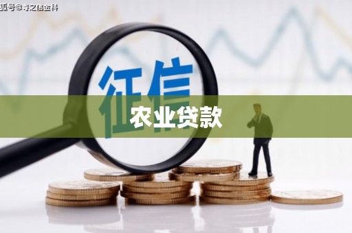 韶关农业贷款