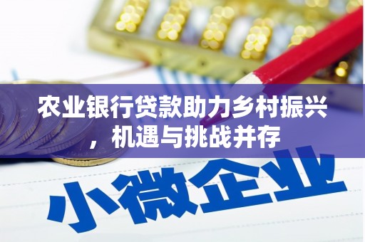 韶关农业银行贷款助力乡村振兴，机遇与挑战并存