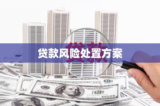 韶关贷款风险处置方案