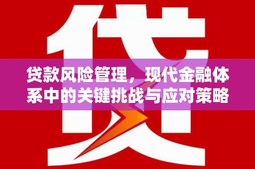 韶关贷款风险管理，现代金融体系中的关键挑战与应对策略