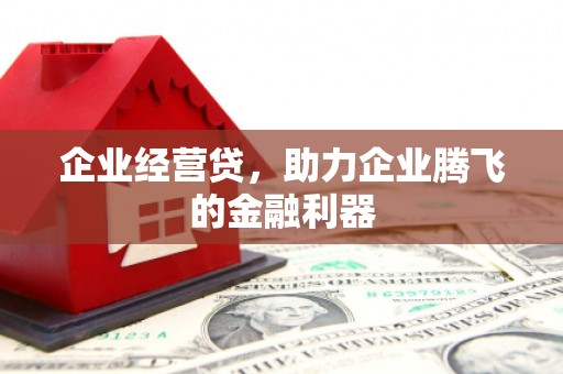 韶关企业经营贷，助力企业腾飞的金融利器